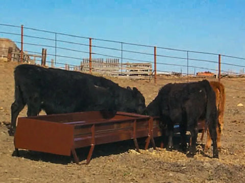 HiQual Grain & Silage Bunk Sioux Steel Livestock