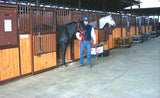 Traditional Horse Stalls - 12' Front Reversed (HiQual)