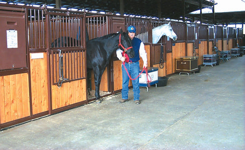 Traditional Horse Stalls - 12' Front Reversed (HiQual)