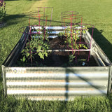 Raised Metal Garden Bed for Tomatoes